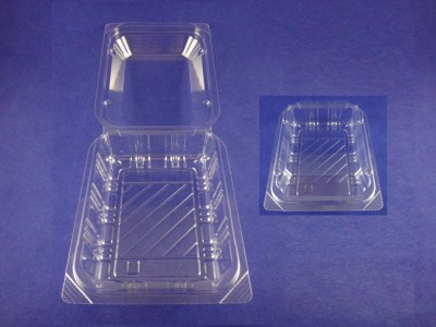 CT-21 Clear PET Hinged Container 